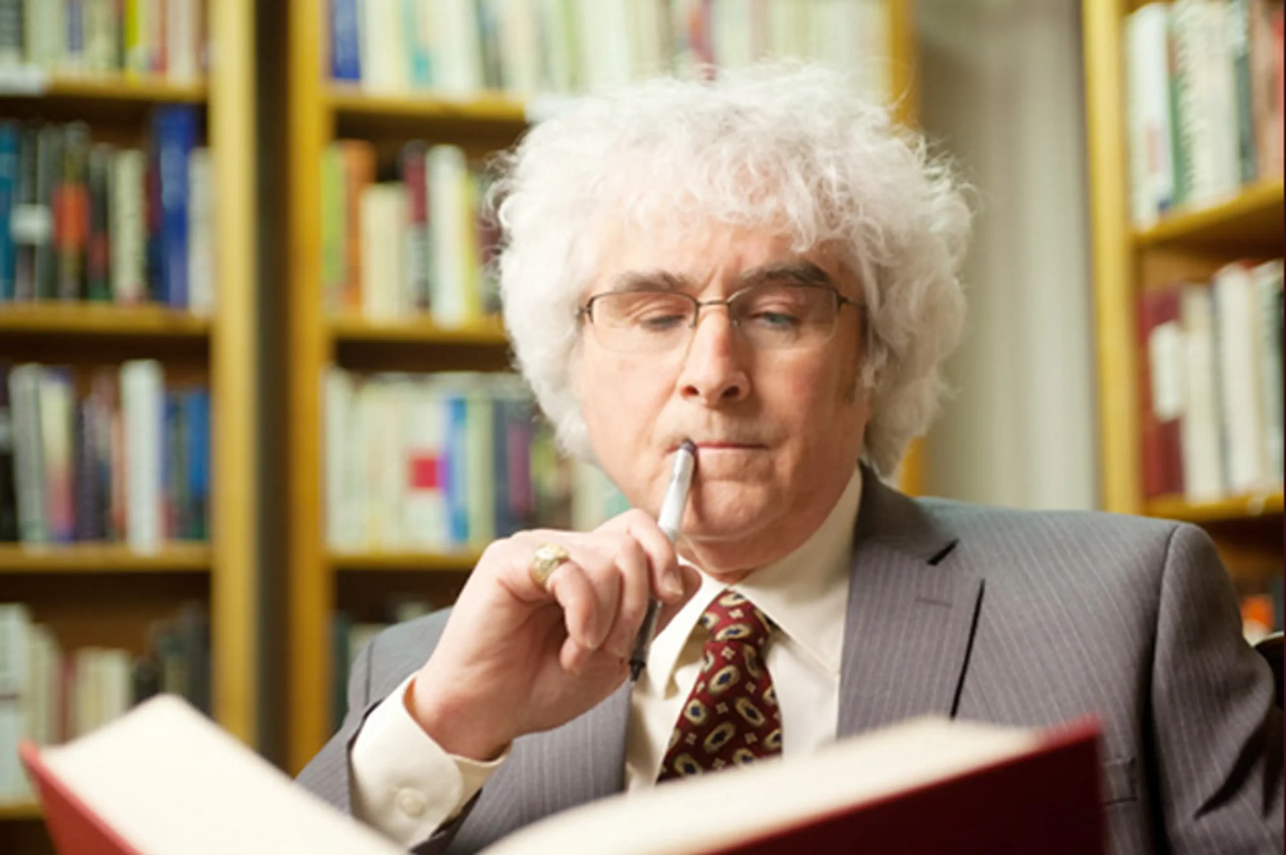 Danny Sheehan / New Paradigm Institute